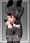 390 Viele Blumen